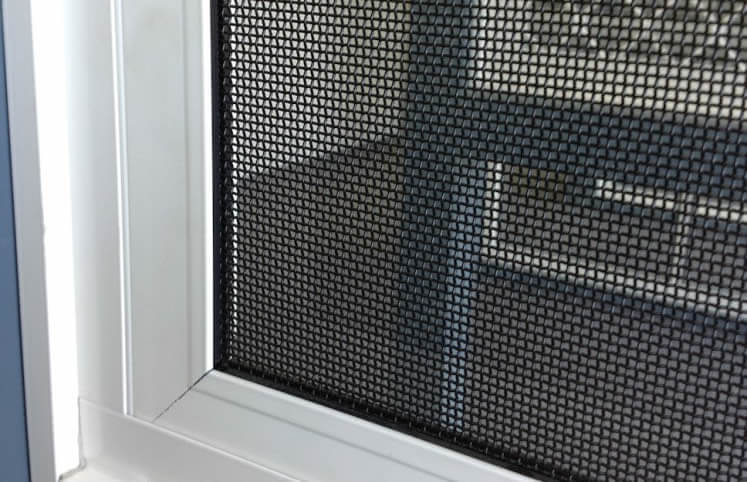 Window mesh gaurd